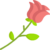 rosa (1)